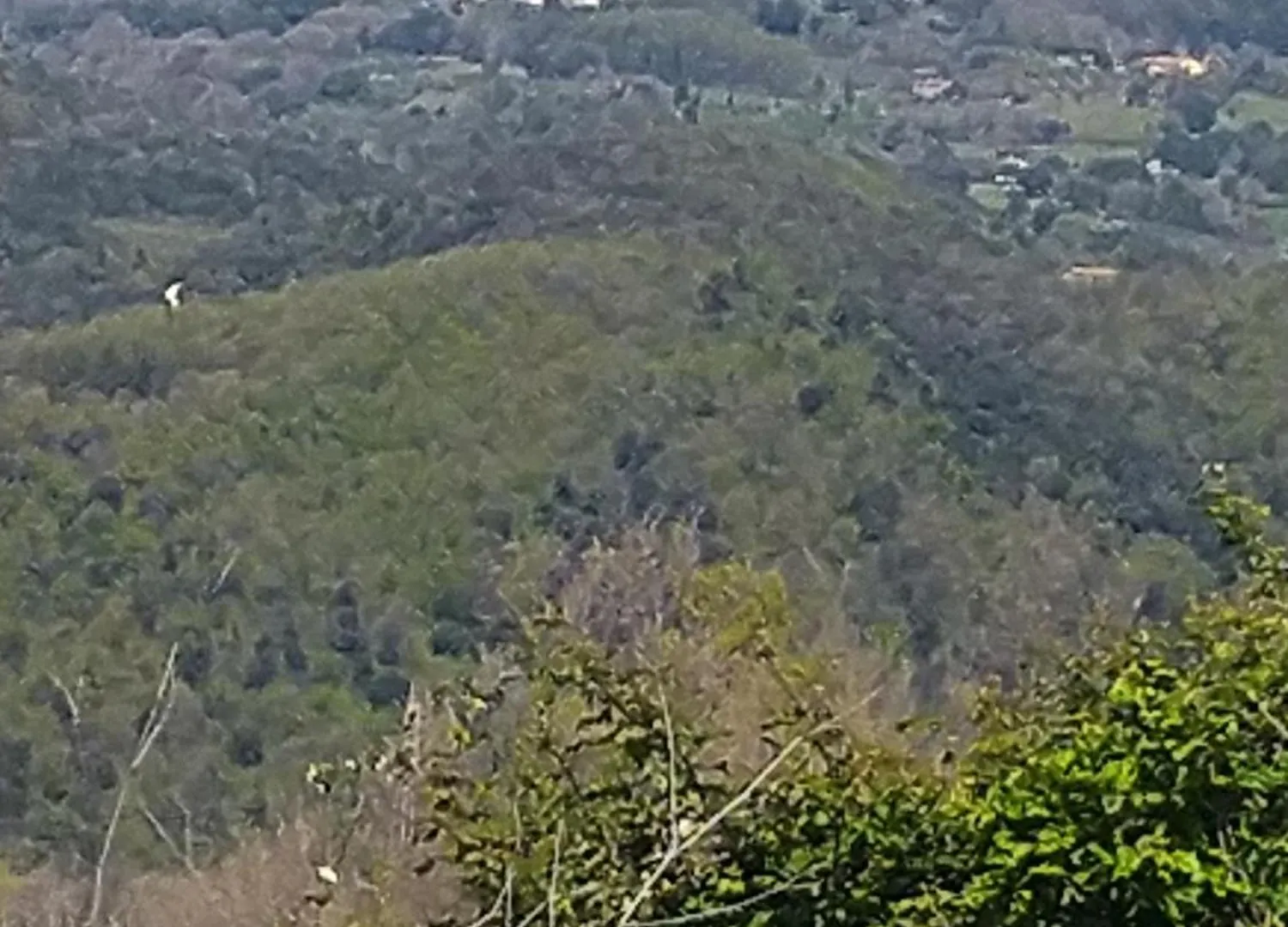 Podere Vinciguerra 39 Pomarance